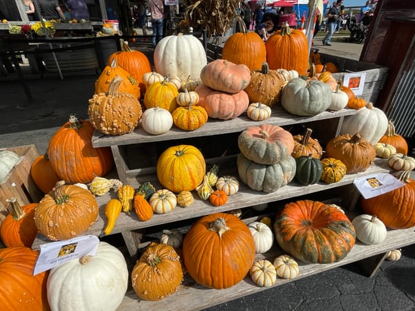 Outdoor Farms and Orchards for Fall Family Fun in Kansas City